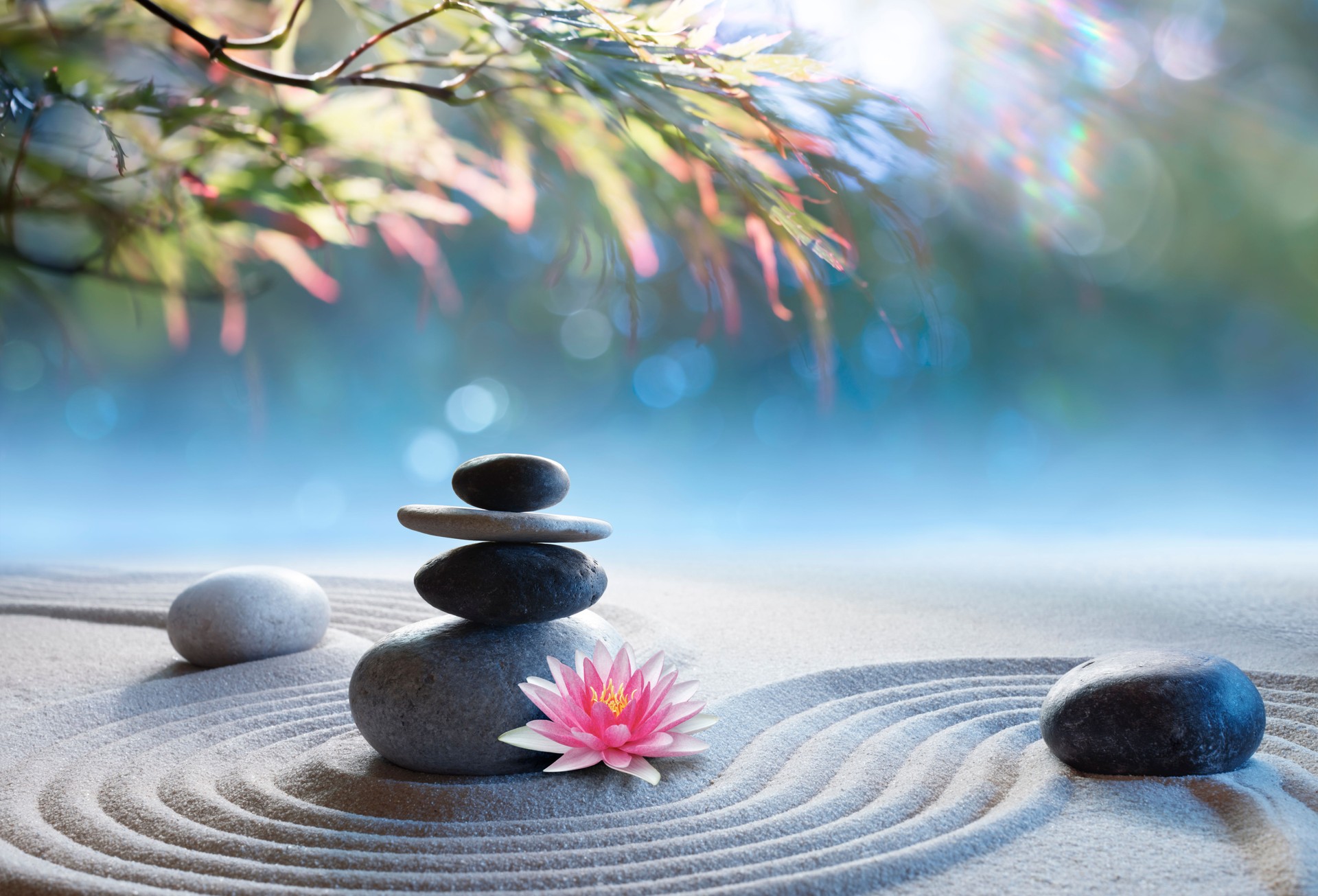 Massage Stones On Sand With Waterlily